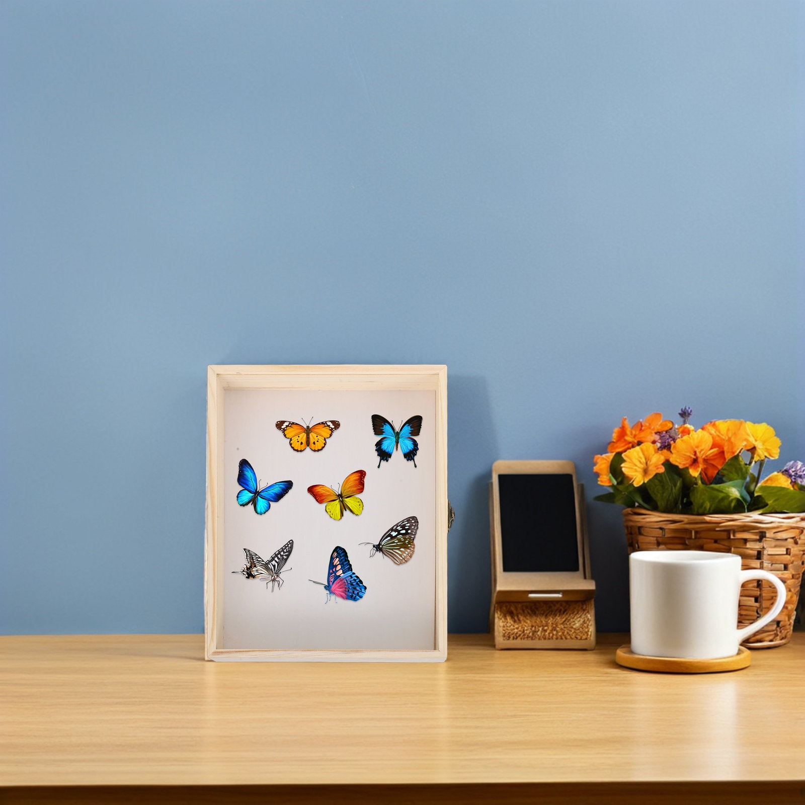 Massivholz-Insekten-Exponatbox – Science Project Bewertung und Preis