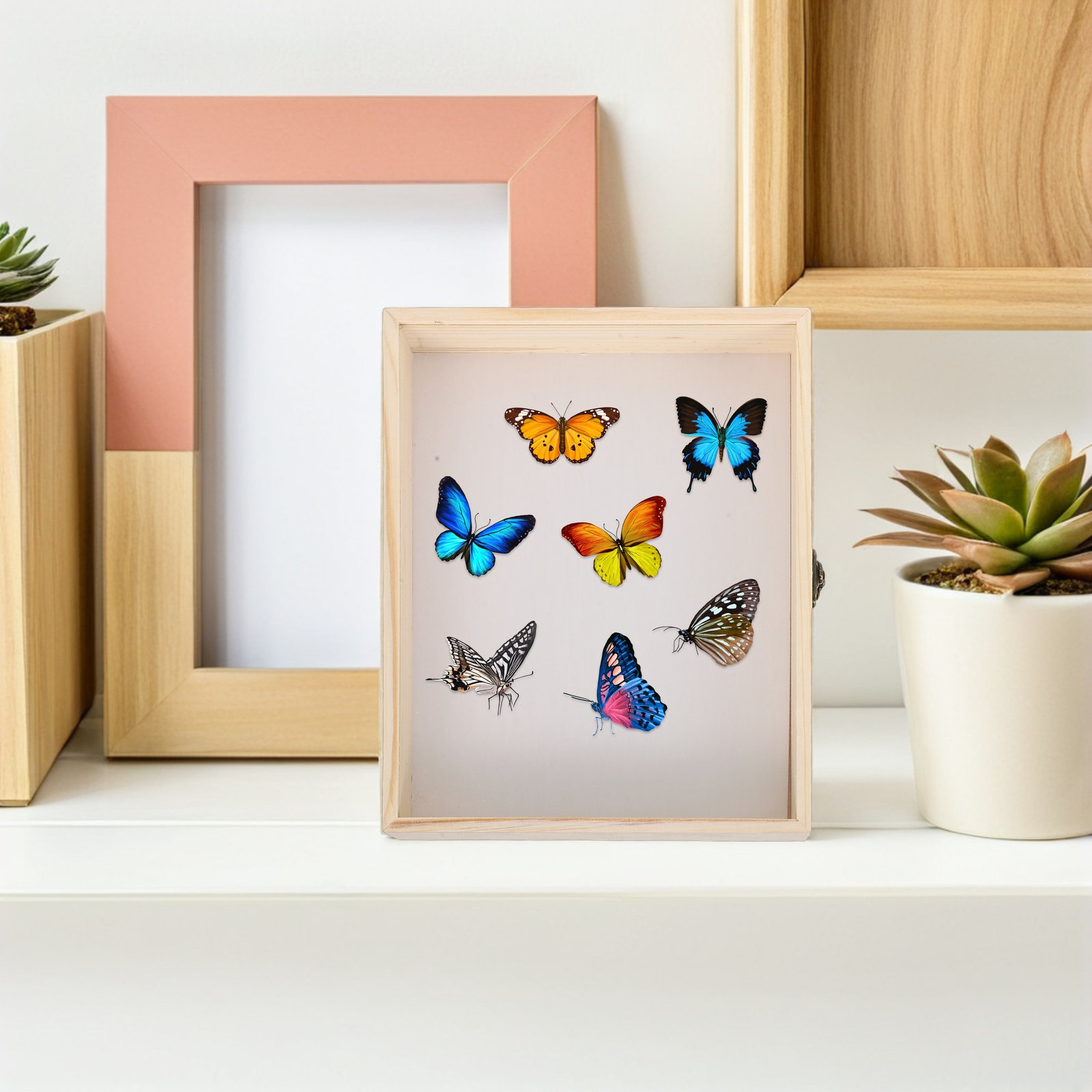 Massivholz-Insekten-Exponatbox – Science Project Bewertung und Preis