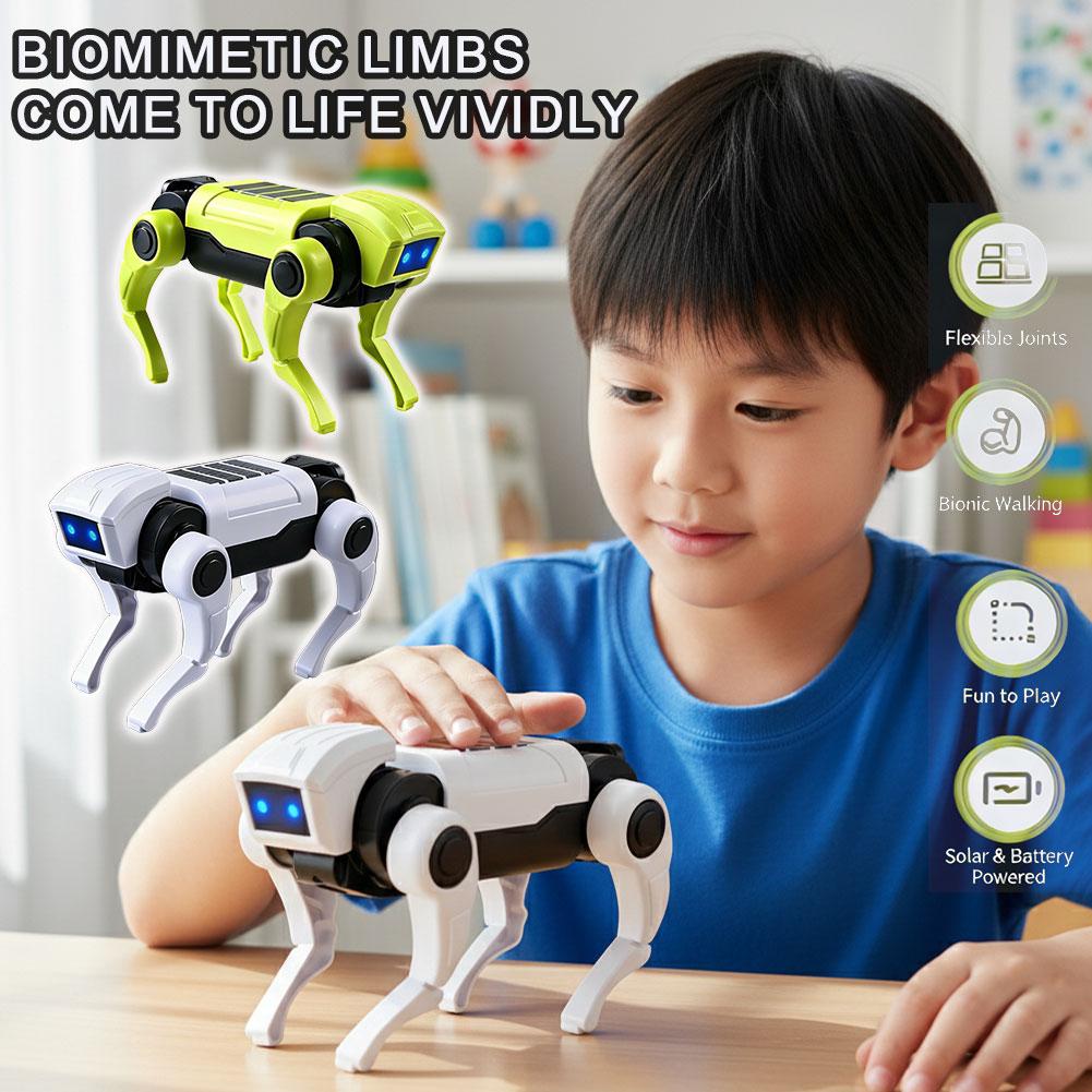 1/2 Stück RC Roboter Ferngeste – Science Diy Model Bewertung und Preis